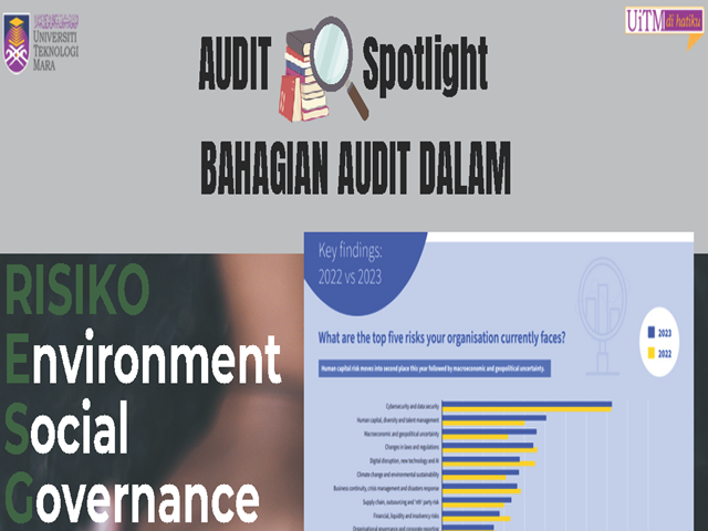 Audit Spotlight 2